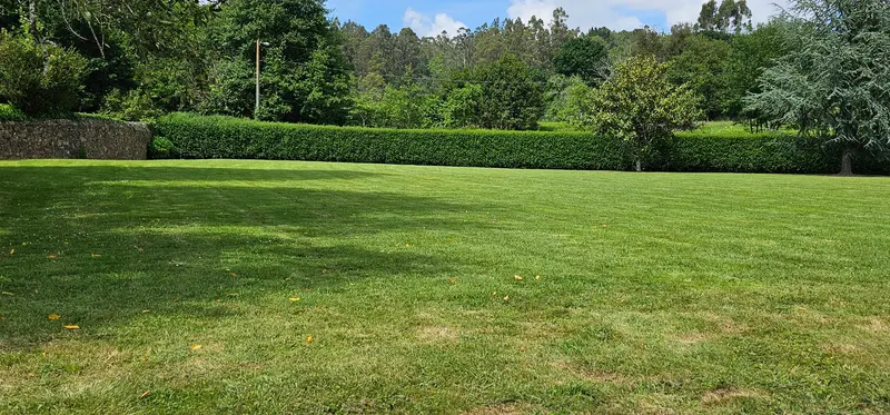 Pradera amplia rodeada de setos y árboles