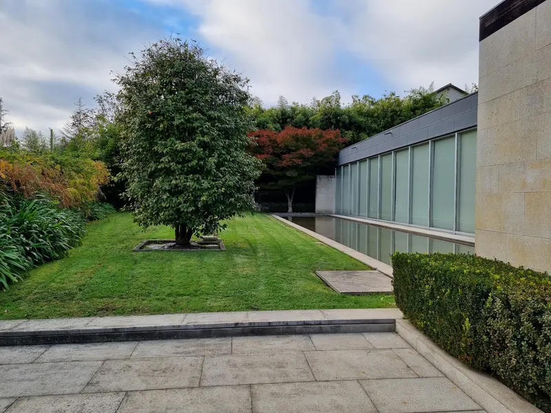 Jardín con un árbol en el césped junto a la cristalera del pabellón